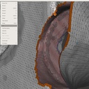 Curso de Meshmixer Online